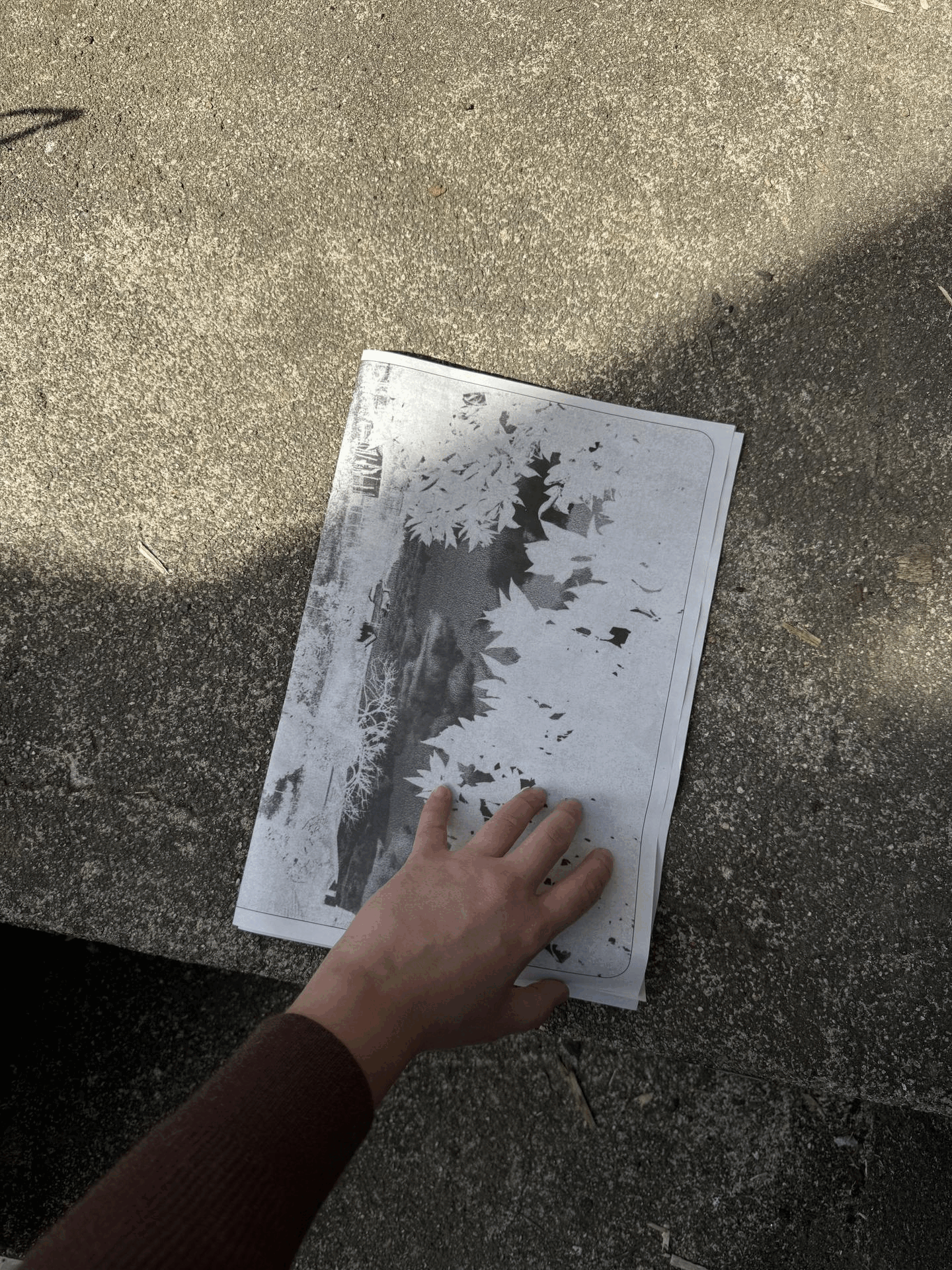 Project image